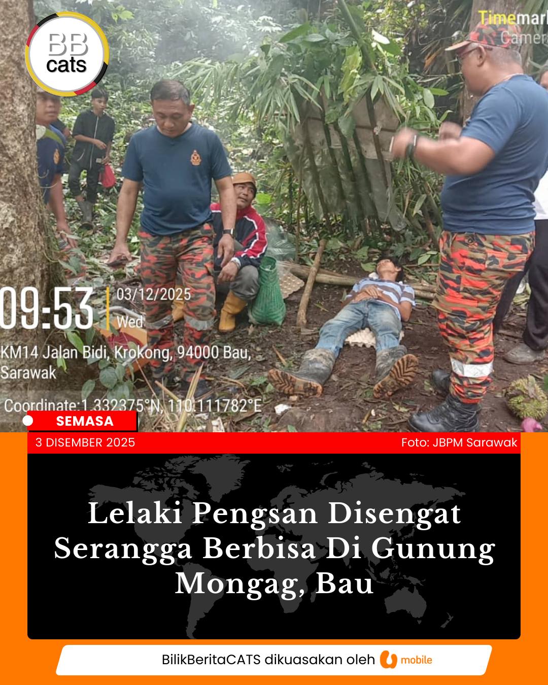 Lelaki Pengsan Disengat Serangga Berbisa Di Bau