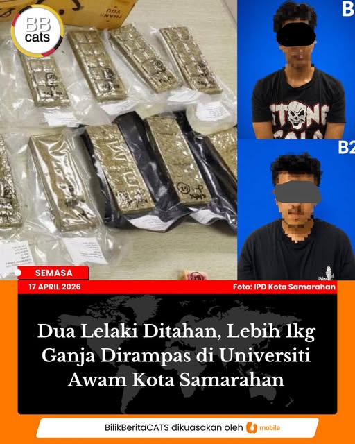 Dua Lelaki Ditahan, Lebih 1KG Ganja Dirampas Di Universiti Awam Kota Samarahan