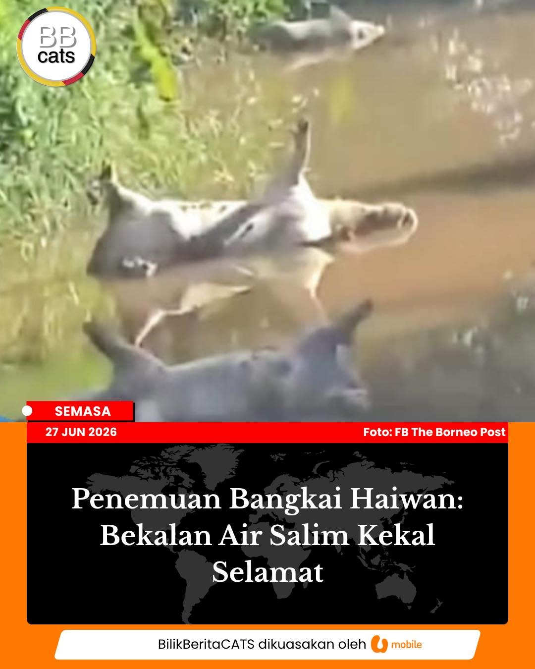 Penemuan Bangkai Haiwan: Bekalan Air Salim Kekal Selamat